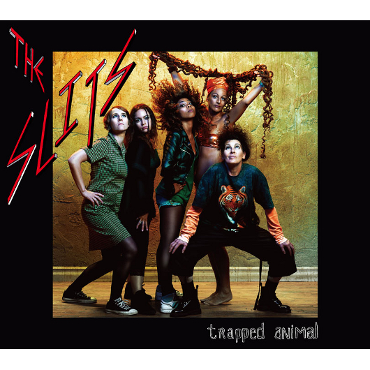 the_slits.jpg