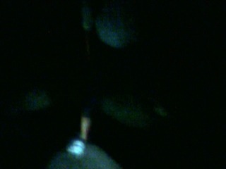 201008160147000.jpg