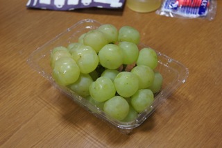 DSC02313.jpg
