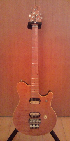 1991_evh.jpg