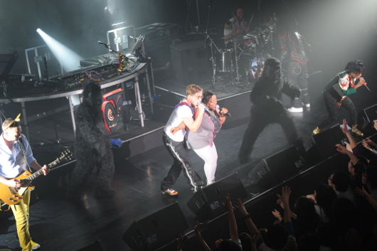 100311_basement_05.JPG