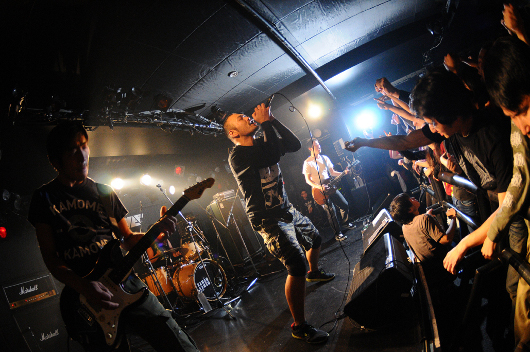 120107_kamome_04.jpg