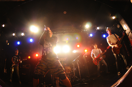 120107_kamome_06.jpg