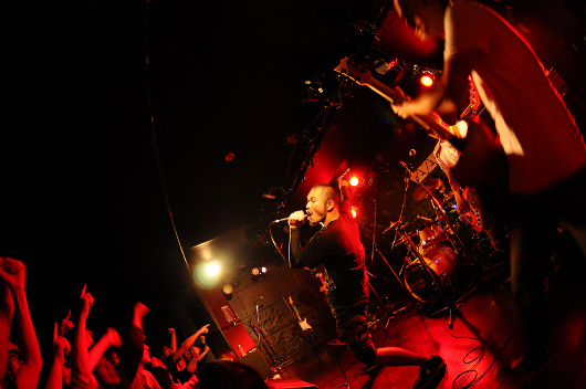 120110__kamome_06.jpg