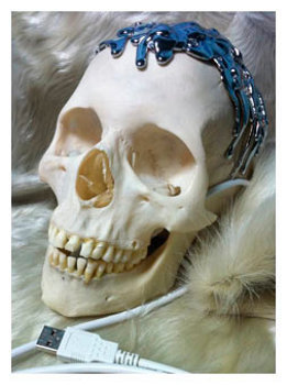 111028_skull.jpg