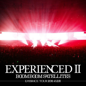 experienced2_boomboomsatellites_dvd_jkt.jpg