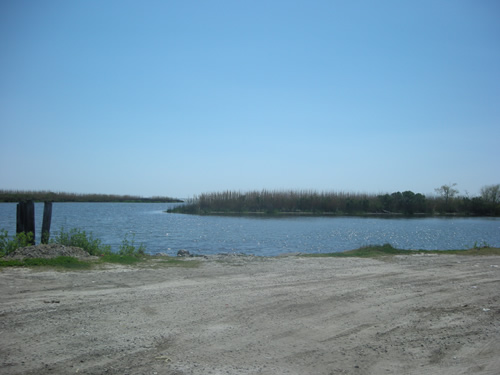 fl01.jpg